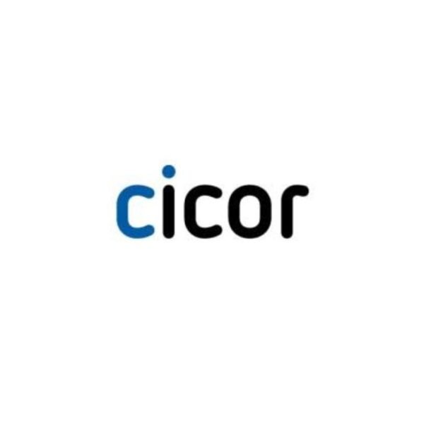 pt cicor