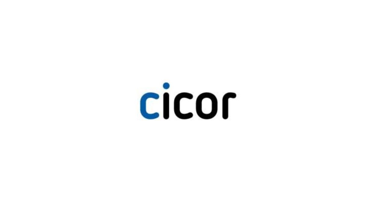 pt cicor