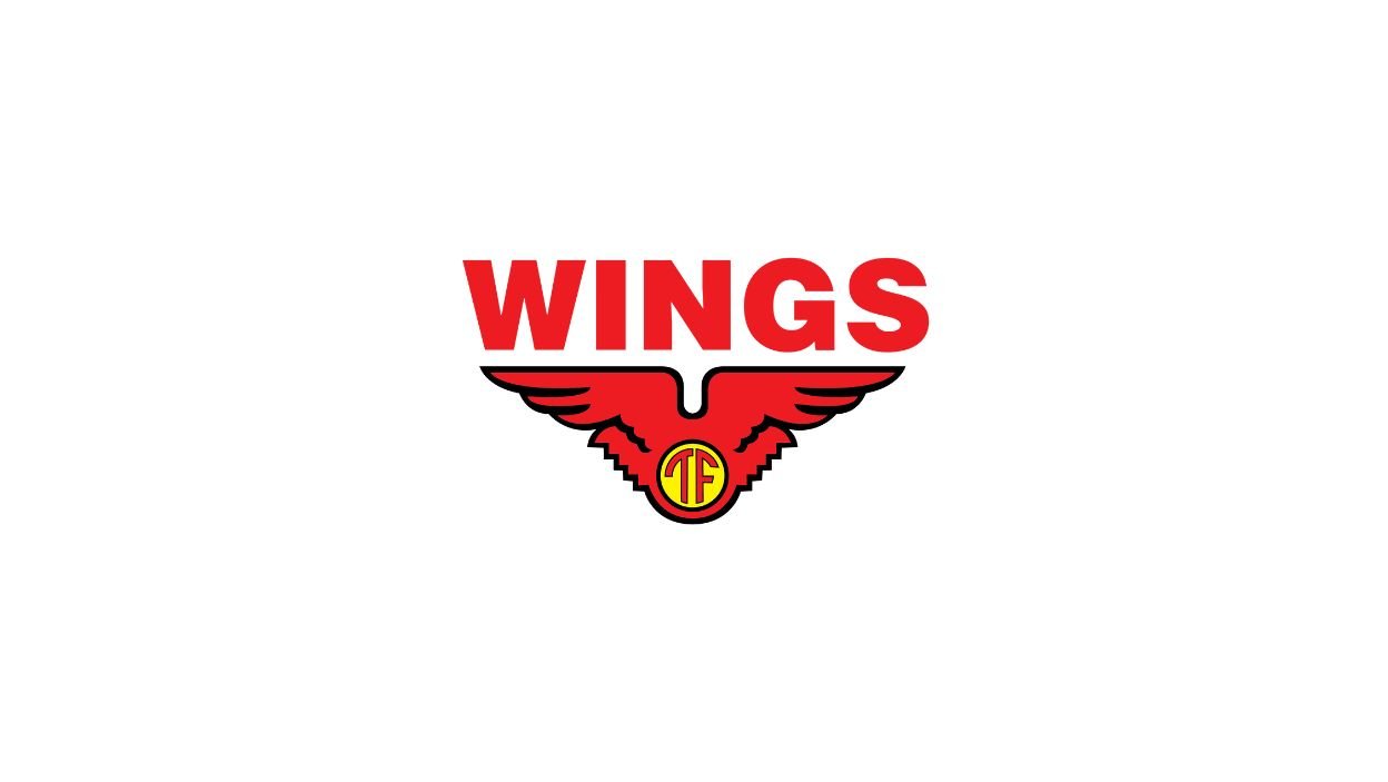 PT Wings Group