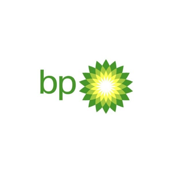 pt aneka petroindo raya