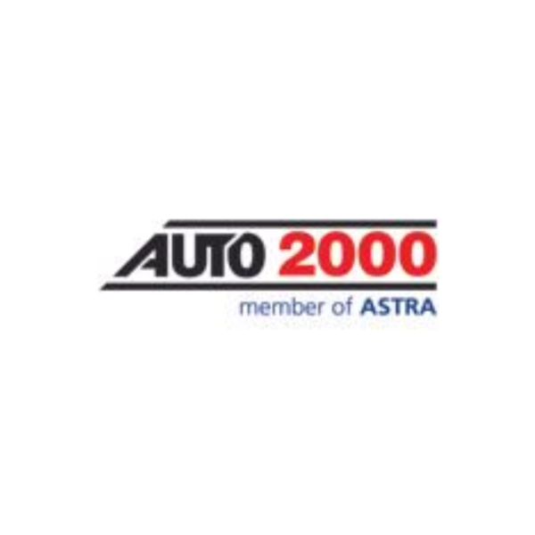 Management Analyst Di Auto 2000