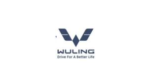 Pengawas Perbendaharaan Di Wuling Motors
