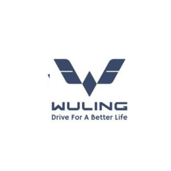 Pengawas Perbendaharaan Di Wuling Motors