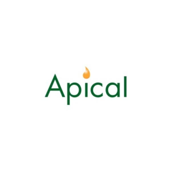 Software Engineer Di Apical
