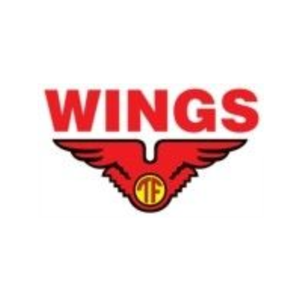 Mechanical Engineer Di WINGS Group