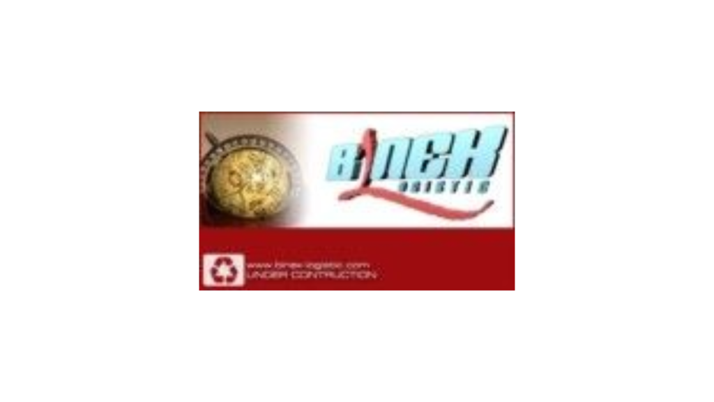 SALES Di Binex Logistic