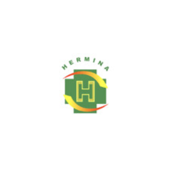 Staf IT Di Hermina Hospital Group