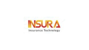 IT PM Business Analyst di PT Insura Media