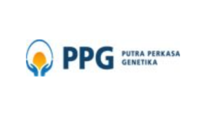 Staff Recruitment di Putra Perkasa